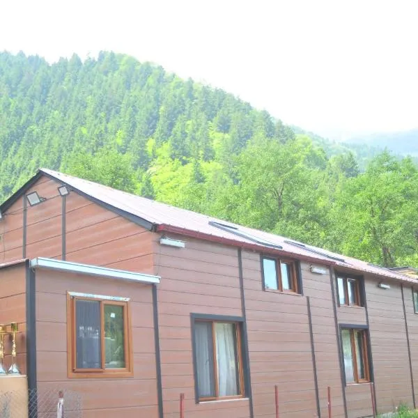 61 Dilek Pansiyon, hotel in Uzungöl