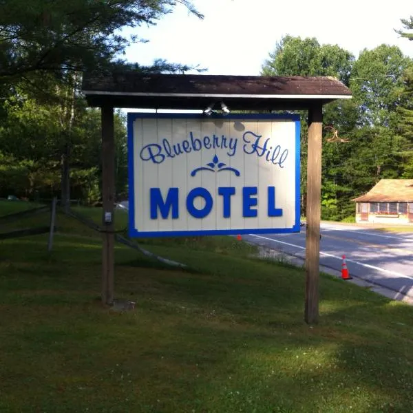 Blueberry Hill Motel, hotel in Long Lake