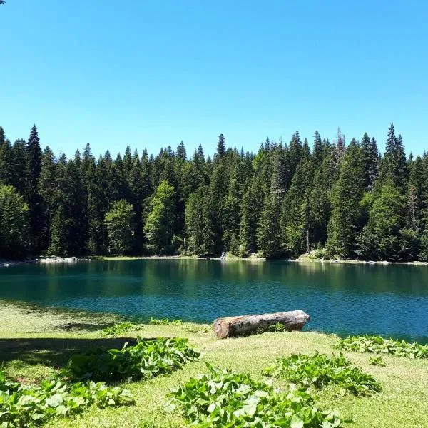 EtnoPetra, hotell i Mojkovac