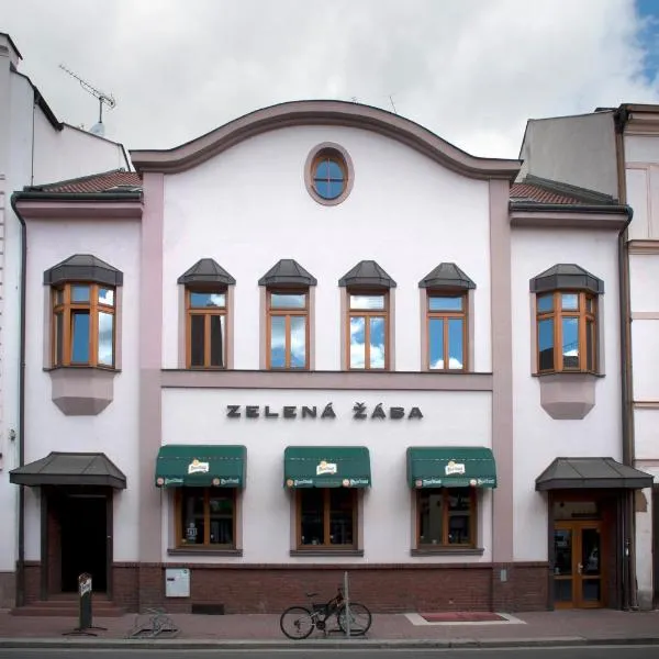 Penzion Zelená Žába, hotel in Rozhovice