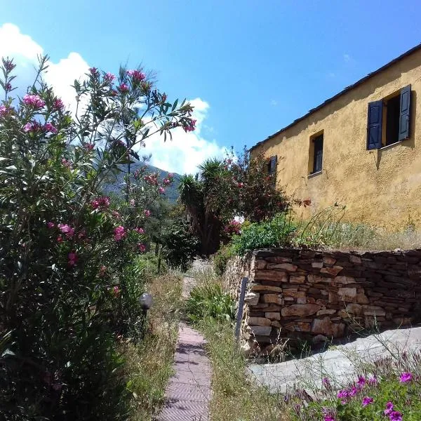 Ikarian Centre - Accommodation & mountain hiking, hotel in Evdilos