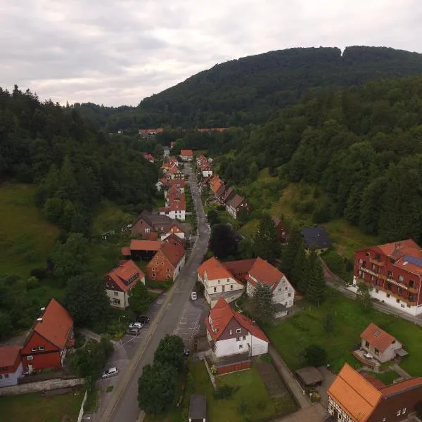 Hotel-Pension Waldhaus, hotel v destinaci Bad Grund