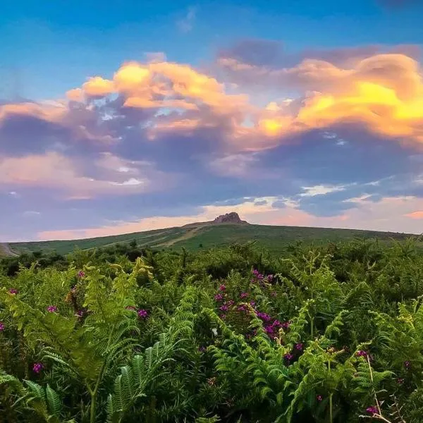 Haytor Court, Haytor, Dartmoor, hotel em Haytor