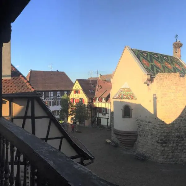 Duplex Saint Lustre, view over castle and storks, 5 mn from Colmar, hotel v destinaci Eguisheim