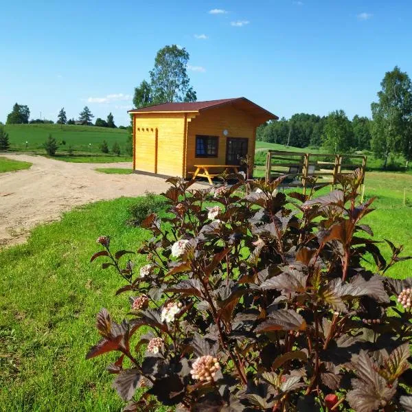 Žubites - 3, hotel em Ludza