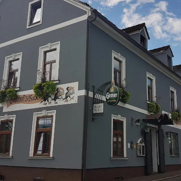 3 Raben - Leoben - Zimmer für Geschäftsreisende, Urlauber, Monteure und Handwerker, Polski Pensjonat Austria, hotel in Leoben