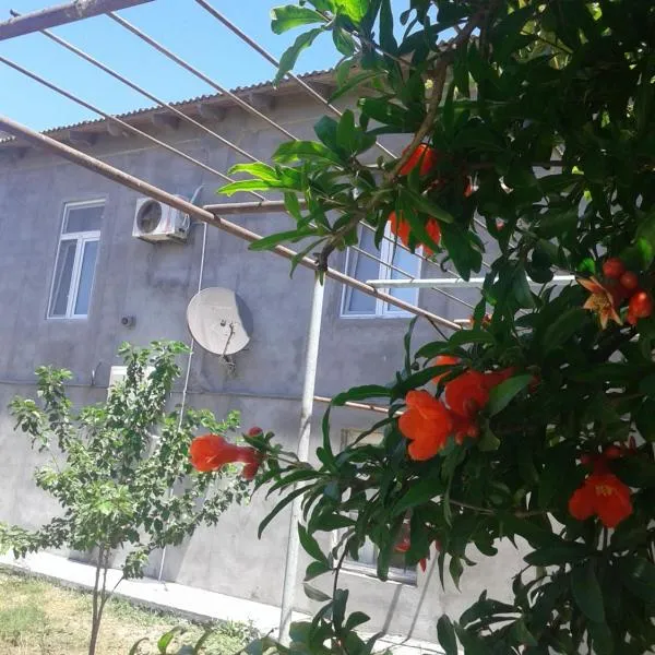 Guest house near Baku airport, hotel in Zağulba Bağları