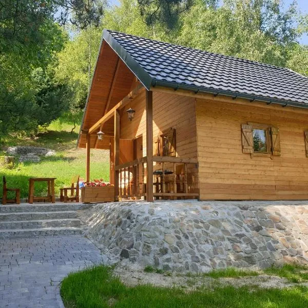 Domki letniskowe Pod Lasem, hotel v destinaci Koziniec