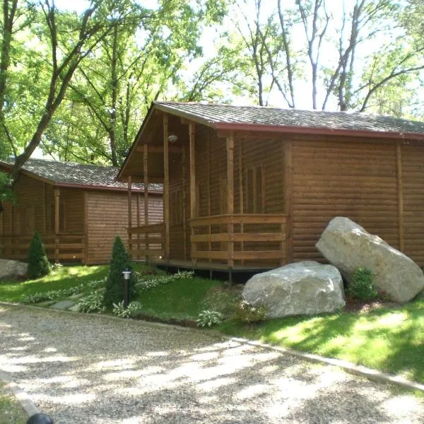 Anthares World Resort, hotel in Candia Canavese