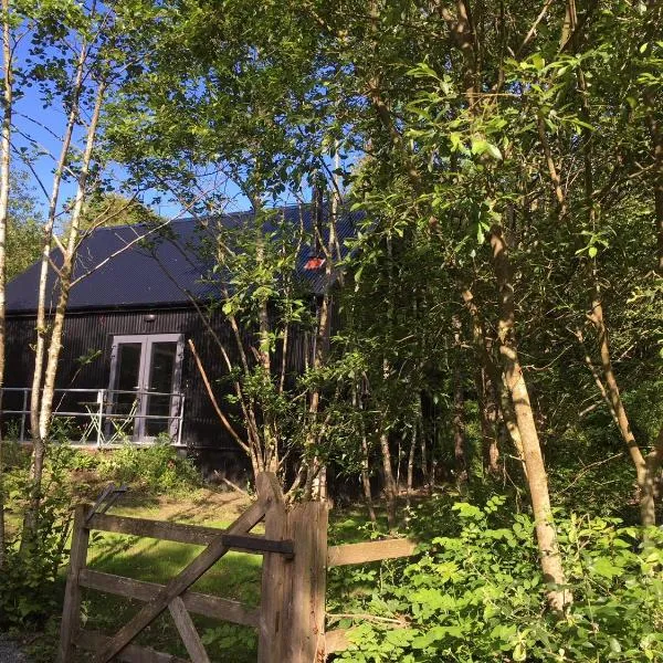 Alder Cabin, hotel v destinaci Kilkenny