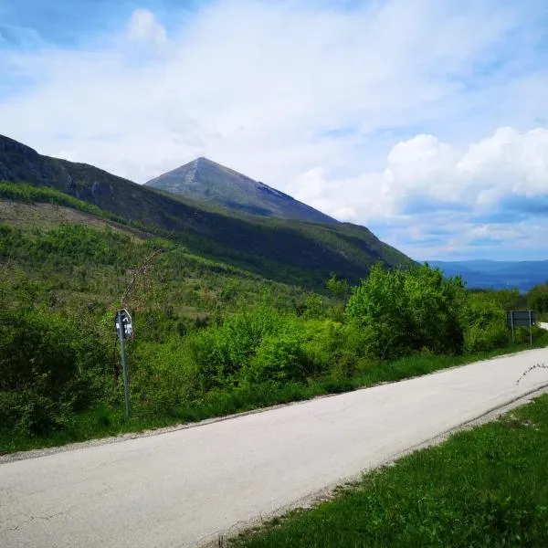 Sobe Gmitrovic, hotel u gradu Rtanj