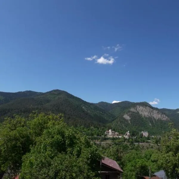 Akaki's Guesthouse, hotel a Borjomi