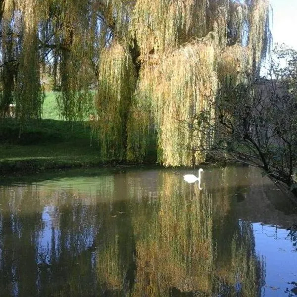 Le Clos des Cygnes, hotel in Charolles
