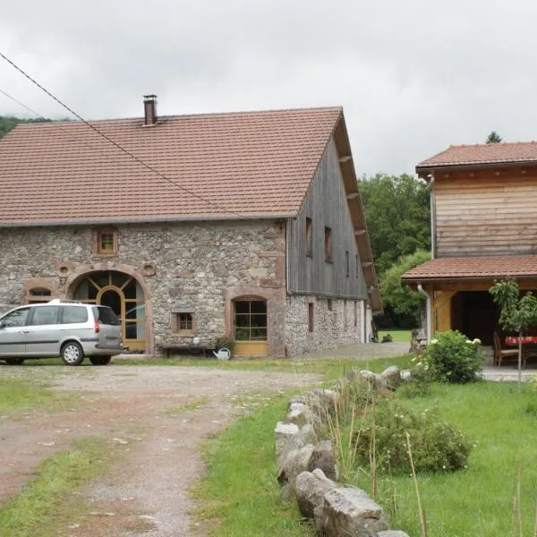 Gites typiques au coeur des Hautes Vosges, hôtel à Saulxures-sur-Moselotte
