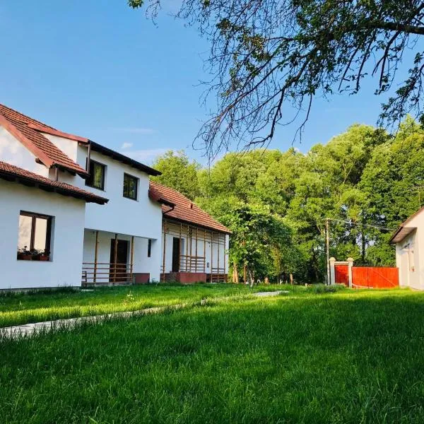 Pensiunea Aer de Munte, hotel v destinaci Recea