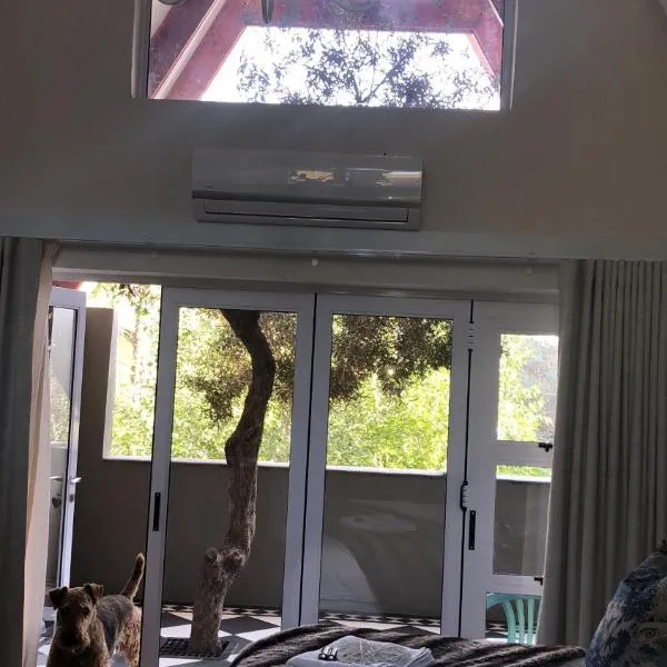 Bella Blue Guesthouse, hotel in Bloemfontein
