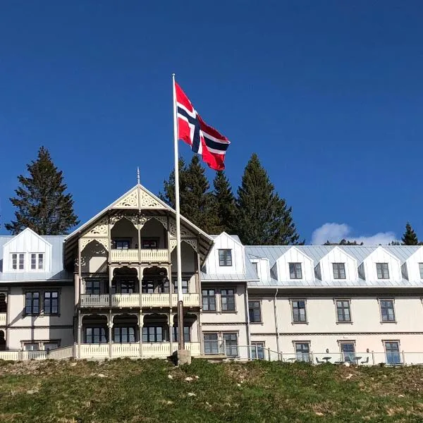 Hotell Eikerapen Gjestegård Åseral、Tingvatnのホテル