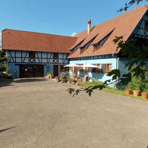 Le Gîte bleu, hotel in Duntzenheim