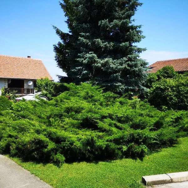 Apartment Dedine Golubac, hotel en Golubac