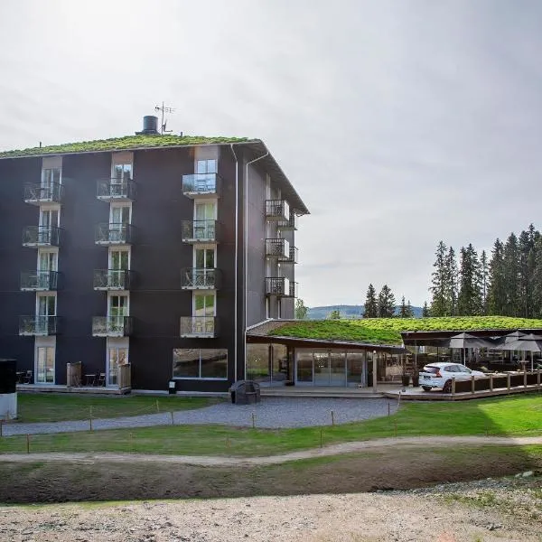 Bergshotellet, hotel a Järvsö