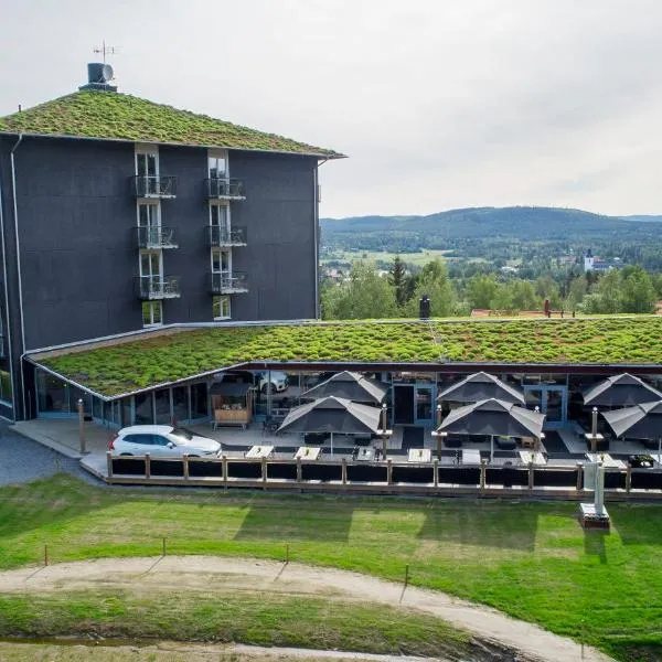 Bergshotellet, hotel in Ljusdal