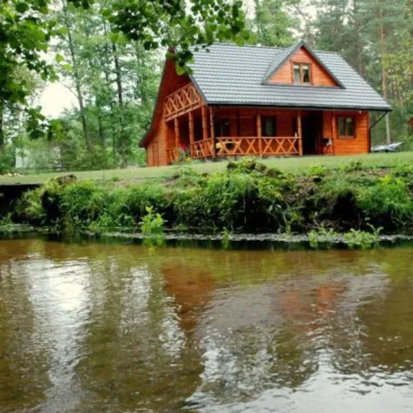 Domek na Szumach, hotel in Susiec