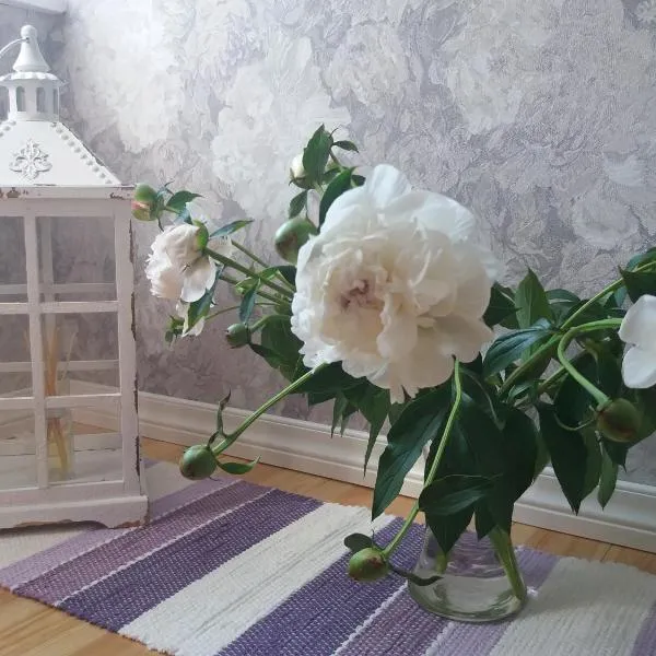 Lille Lux Apartment, hotell Viljandis