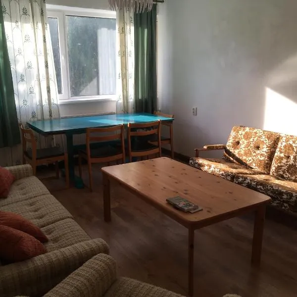 Veriora apartment, hotel in Leevi