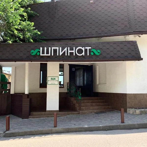 Shpinat, hotel v Oděse