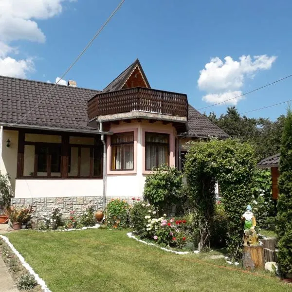 Casa Fetic, hotel v destinaci Nehoiu