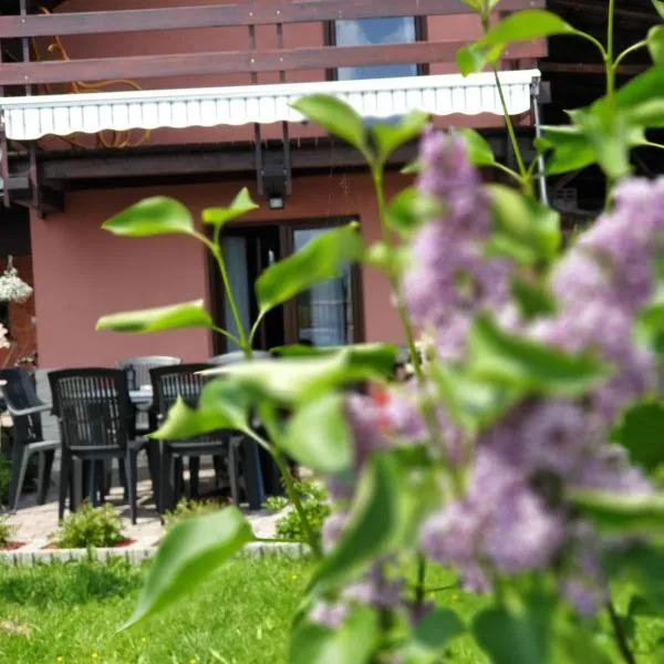 Podhale Domek Agroturystyka u Mikołajki-blisko term Chocholowskich, hotel en Długopole