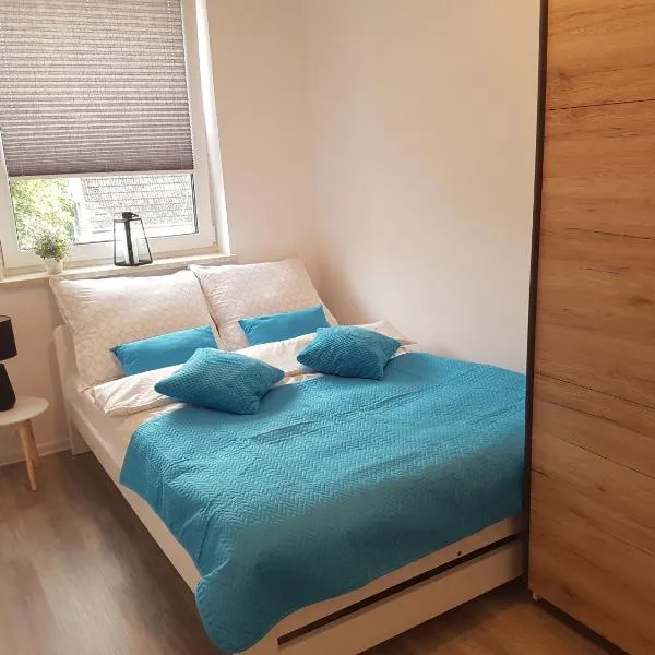 Narutowicza Modern Apartment, hotell i Kobylnica