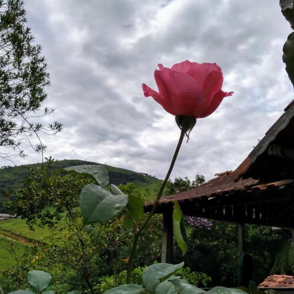 Casa da Roça - Foto 5