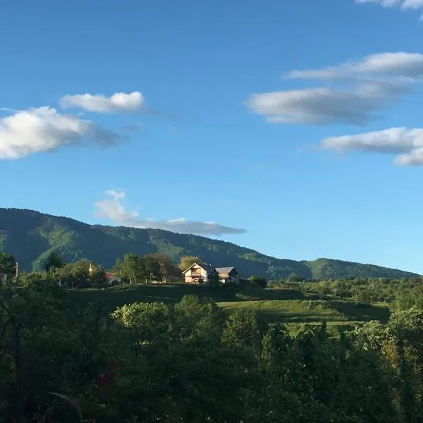 Pensiune Daniela, hotell sihtkohas Corbeni