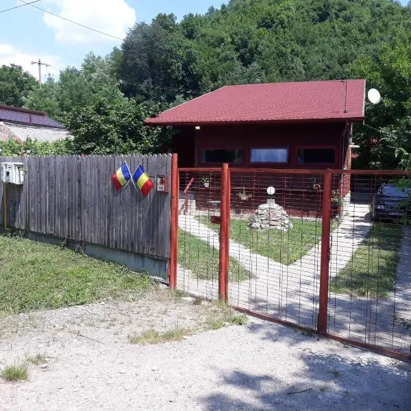 Canadian House, hotel en Valea Sălciilor