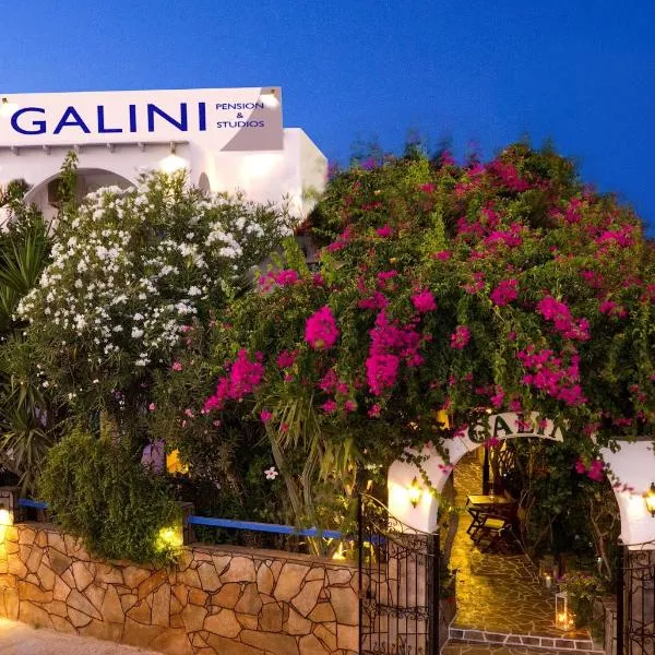 Galini Pension, viešbutis mieste Chora