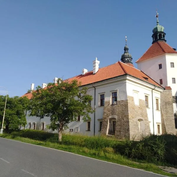 gemuetliche unterkunft bei prag, hotel in Družec