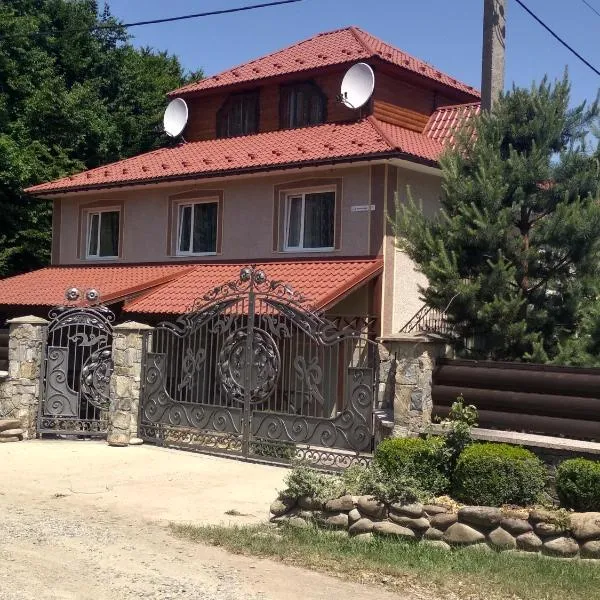 Вишиванка, hotel v destinaci Šešory