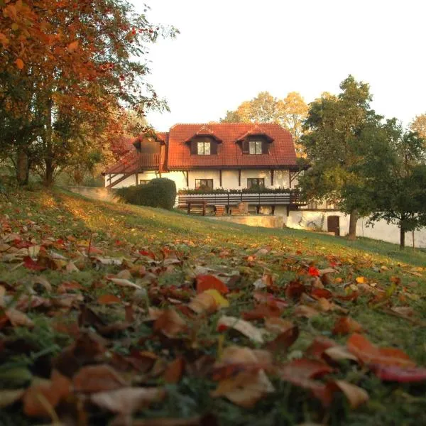 Penzion Dvůr, hotel in Nebahovy