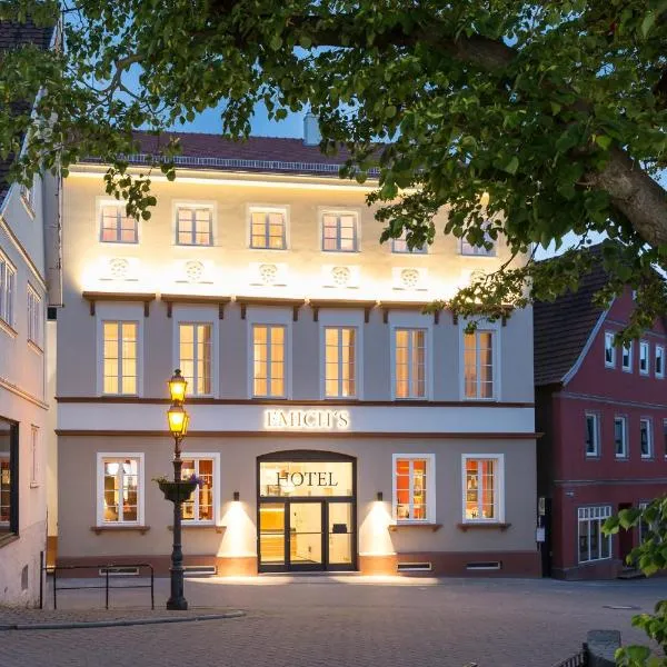 EMICH´S Hotel, hotell i Reinhardsachsen