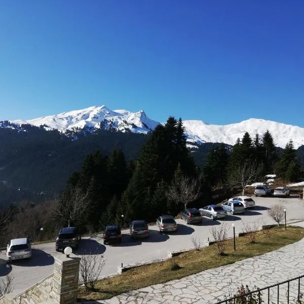 Ξενοδοχείο ΜΑΓΚΙΩΣΗ, hotel en Vronteró