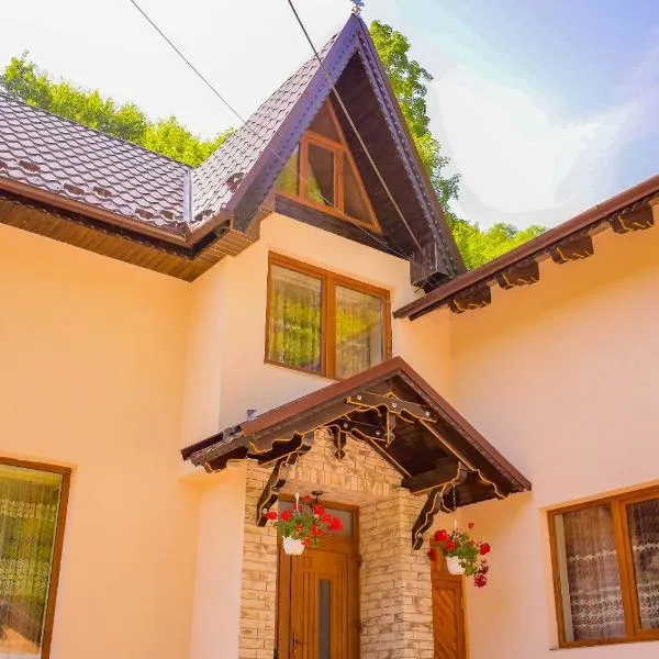 Pensiunea La Cernat, hotel v destinaci Şugag
