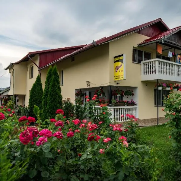 Pensiunea elena, hotel en Tăşnad