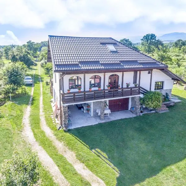 노바치-스트러이니에 위치한 호텔 Casa de vacanta Mirela