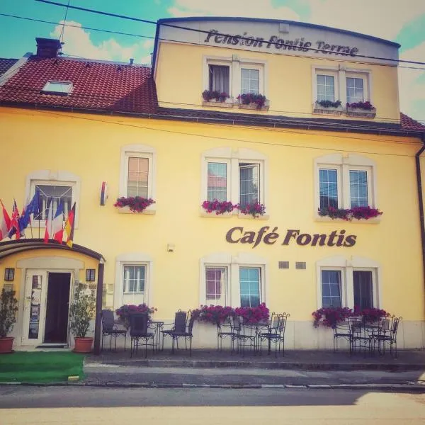 Penzion Fontis Terrae, hotel in Trenčianske Teplice