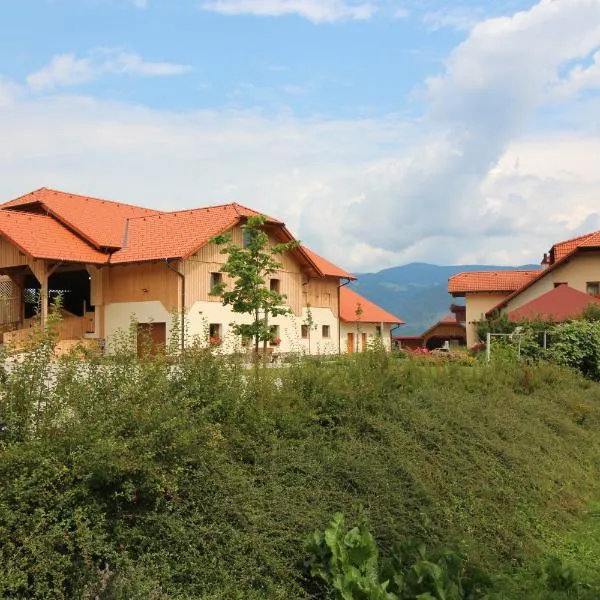 Apartments Organic tourist farm Jeglijenk, hotell i Šentjanž pri Dravogradu