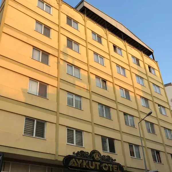 Aykut Palace Otel, hotel en Uzunaliç