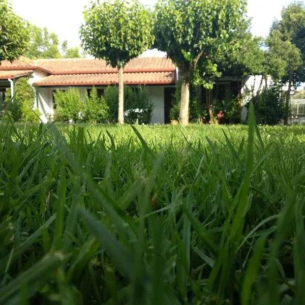 Sivota Colours, khách sạn ở Sivota