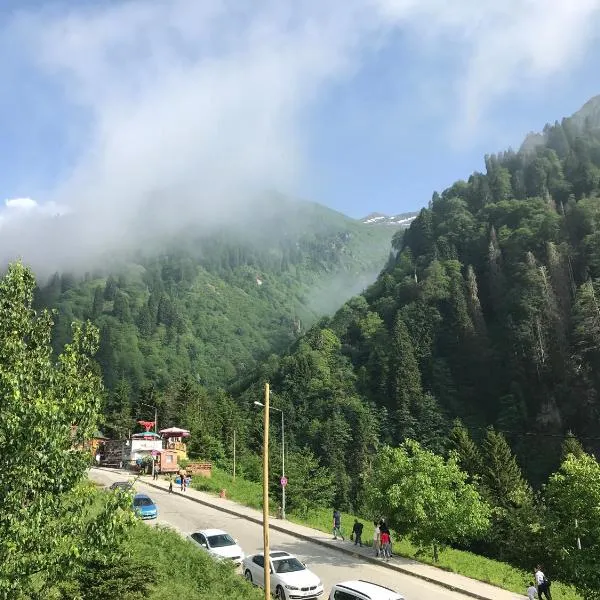 Simal Apart Ev, hotel in Ayder Yaylasi