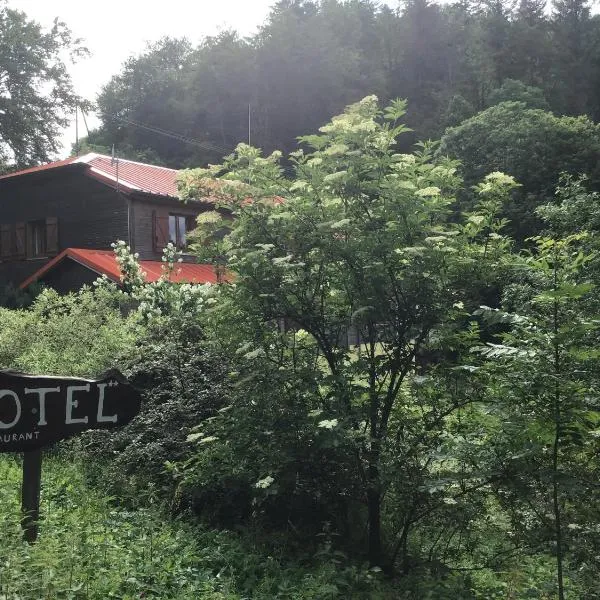 HÔTEL RESTAURANT LA FOURMI, hotel in Kirchberg